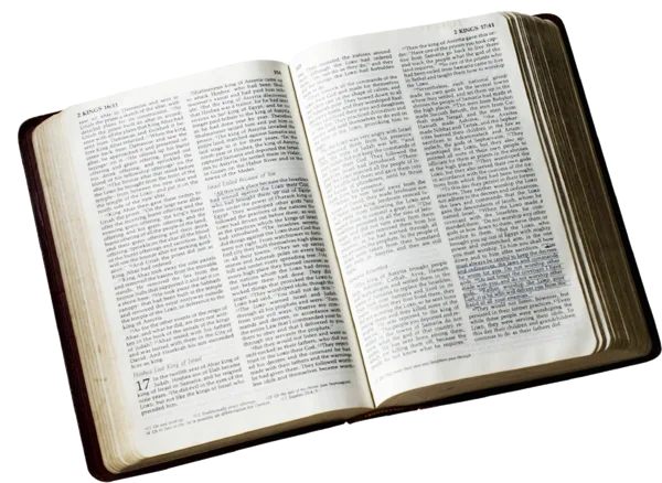 Biblias